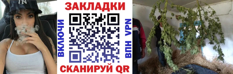 Где можно купить наркотики Покров Псилоцибиновые грибы  Мефедрон  ГАШИШ  omg вход  Alpha-PVP  Бошки Шишки 