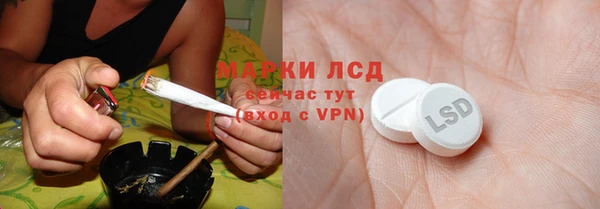 стафф Аркадак