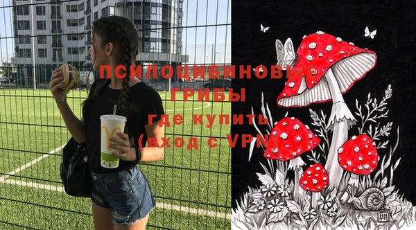 ПСИЛОЦИБИНОВЫЕ ГРИБЫ Армянск